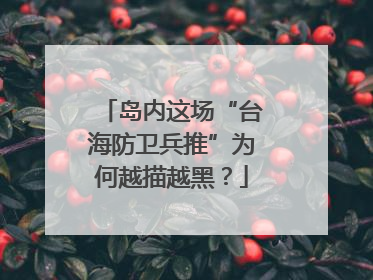 岛内这场“台海防卫兵推”为何越描越黑？