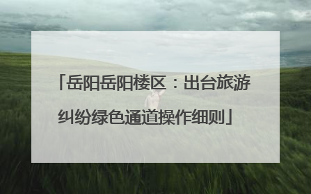 岳阳岳阳楼区：出台旅游纠纷绿色通道操作细则