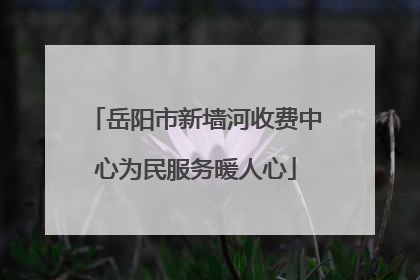 岳阳市新墙河收费中心为民服务暖人心