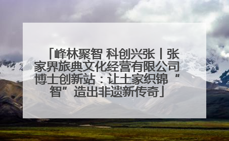 峰林聚智 科创兴张丨张家界旅典文化经营有限公司博士创新站：让土家织锦“智”造出非遗新传奇