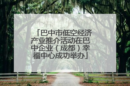 巴中市低空经济产业推介活动在巴中企业（成都）幸福中心成功举办