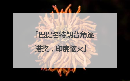巴提名特朗普角逐诺奖，印度恼火