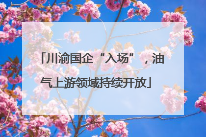 川渝国企“入场”，油气上游领域持续开放