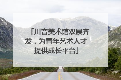 川音美术馆双展齐发，为青年艺术人才提供成长平台