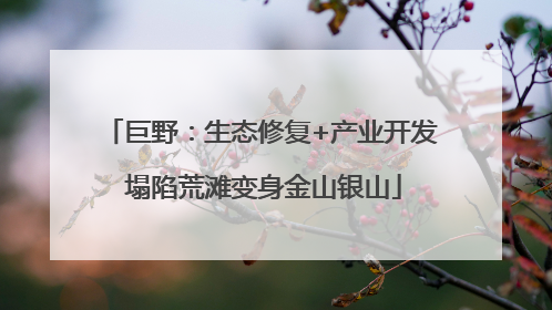 巨野：生态修复+产业开发 塌陷荒滩变身金山银山
