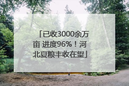 已收3000余万亩 进度96%！河北夏粮丰收在望