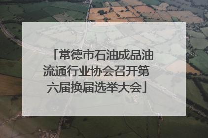 常德市石油成品油流通行业协会召开第六届换届选举大会