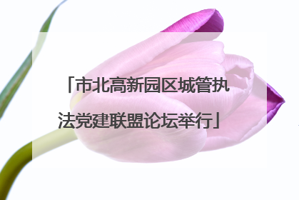 市北高新园区城管执法党建联盟论坛举行