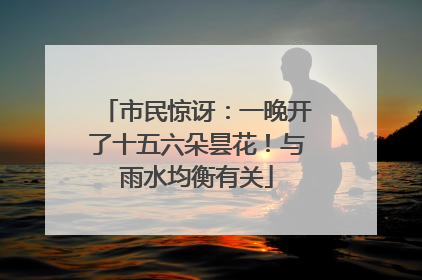 市民惊讶：一晚开了十五六朵昙花！与雨水均衡有关