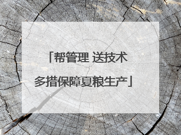 帮管理 送技术 多措保障夏粮生产