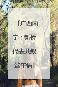 广西南宁：新侨代表共叙端午情