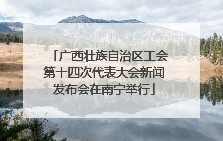 广西壮族自治区工会第十四次代表大会新闻发布会在南宁举行