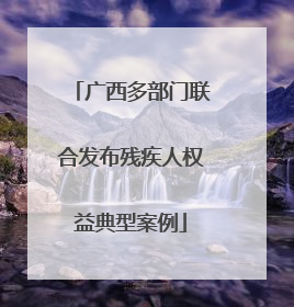 广西多部门联合发布残疾人权益典型案例