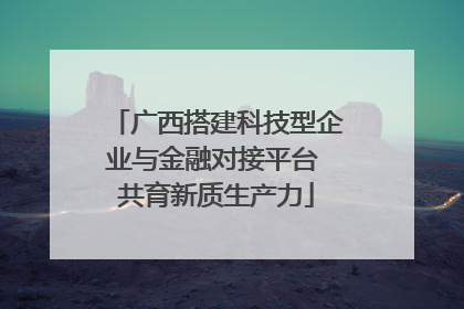 广西搭建科技型企业与金融对接平台 共育新质生产力