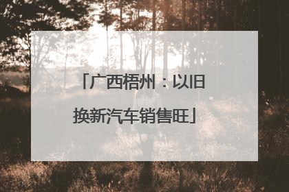 广西梧州：以旧换新汽车销售旺