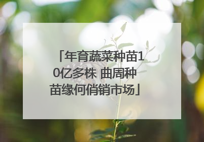 年育蔬菜种苗10亿多株 曲周种苗缘何俏销市场