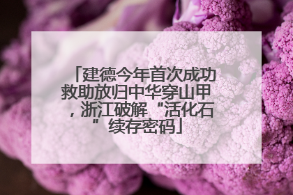 建德今年首次成功救助放归中华穿山甲，浙江破解“活化石”续存密码