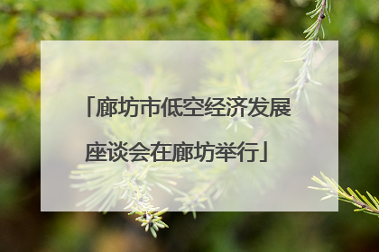 廊坊市低空经济发展座谈会在廊坊举行