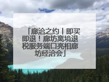 廊洽之约丨即买即退！廊坊离境退税服务端口亮相廊坊经洽会