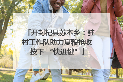 开封杞县苏木乡：驻村工作队助力夏粮抢收按下 “快进键”