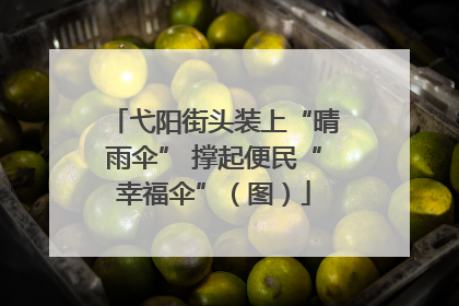 弋阳街头装上“晴雨伞” 撑起便民“幸福伞”（图）