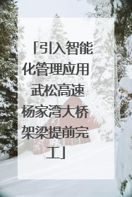 引入智能化管理应用 武松高速杨家湾大桥架梁提前完工
