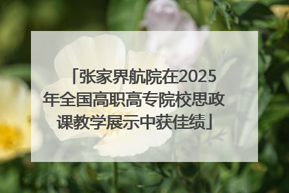 张家界航院在2025年全国高职高专院校思政课教学展示中获佳绩