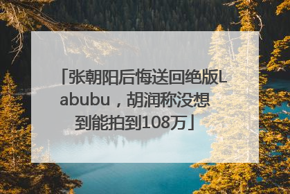 张朝阳后悔送回绝版Labubu，胡润称没想到能拍到108万