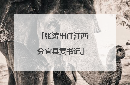 张涛出任江西分宜县委书记