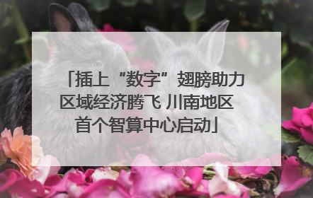 插上“数字”翅膀助力区域经济腾飞 川南地区首个智算中心启动