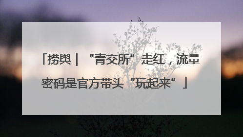 捞舆｜“青交所”走红，流量密码是官方带头“玩起来”