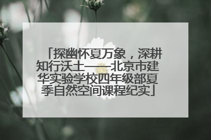 探幽怀夏万象，深耕知行沃土——北京市建华实验学校四年级部夏季自然空间课程纪实