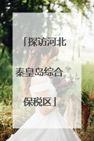 探访河北秦皇岛综合保税区