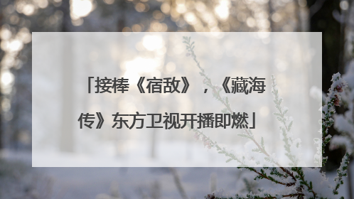 接棒《宿敌》，《藏海传》东方卫视开播即燃