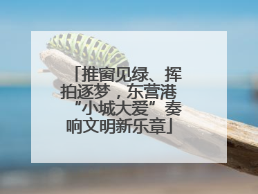推窗见绿、挥拍逐梦，东营港“小城大爱”奏响文明新乐章
