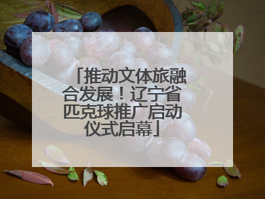 推动文体旅融合发展！辽宁省匹克球推广启动仪式启幕