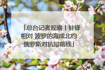 总台记者观察丨针锋相对 波罗的海成北约俄罗斯对抗最前线