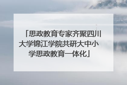 思政教育专家齐聚四川大学锦江学院共研大中小学思政教育一体化