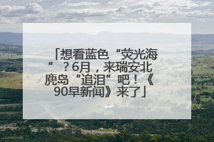 想看蓝色“荧光海”？6月，来瑞安北麂岛“追泪”吧！《90早新闻》来了