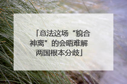 意法这场“貌合神离”的会晤难解两国根本分歧