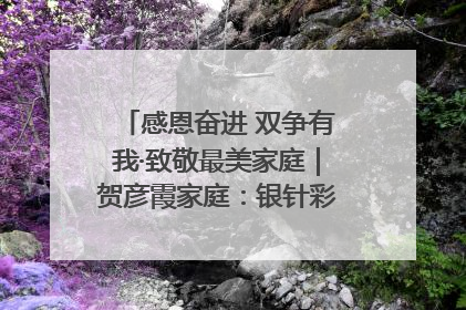 感恩奋进 双争有我·致敬最美家庭｜贺彦霞家庭：银针彩线绣出好日子