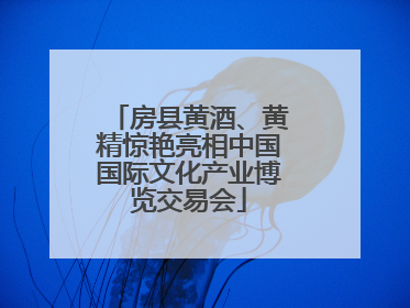 房县黄酒、黄精惊艳亮相中国国际文化产业博览交易会