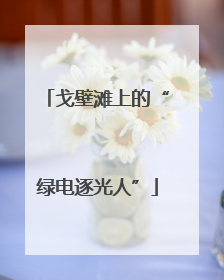 戈壁滩上的“绿电逐光人”