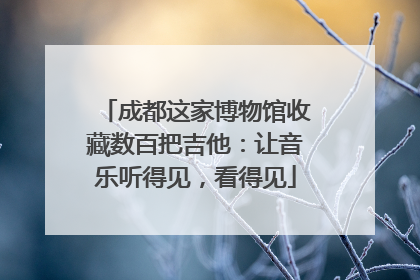 成都这家博物馆收藏数百把吉他：让音乐听得见，看得见