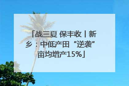 战三夏 保丰收丨新乡：中低产田“逆袭” 亩均增产15%