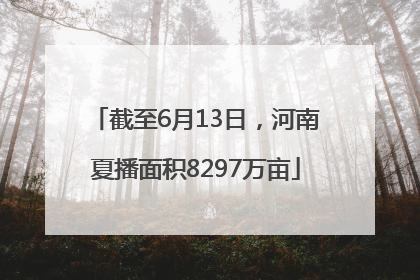 截至6月13日，河南夏播面积8297万亩