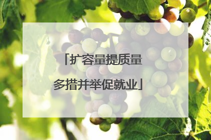 扩容量提质量 多措并举促就业