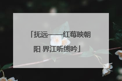 抚远——红莓映朝阳 界江听熊吟