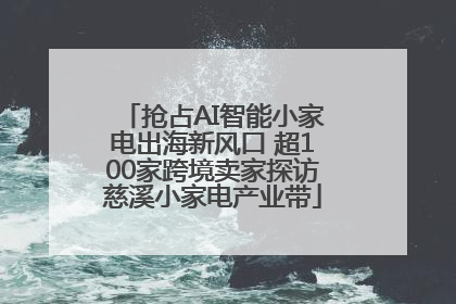 抢占AI智能小家电出海新风口 超100家跨境卖家探访慈溪小家电产业带