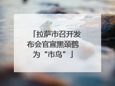 拉萨市召开发布会官宣黑颈鹤为“市鸟”